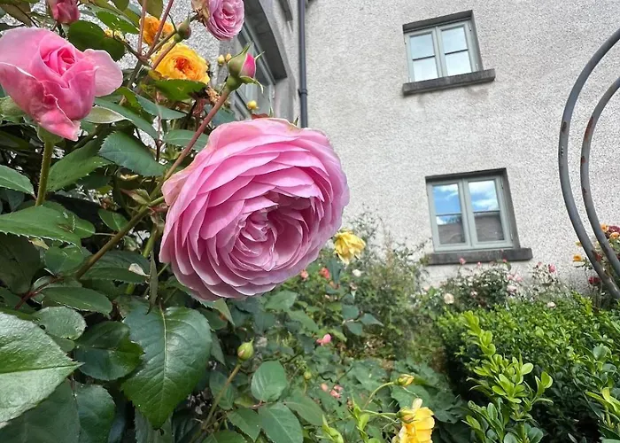 아파트 Stables With Wood-fired Sauna