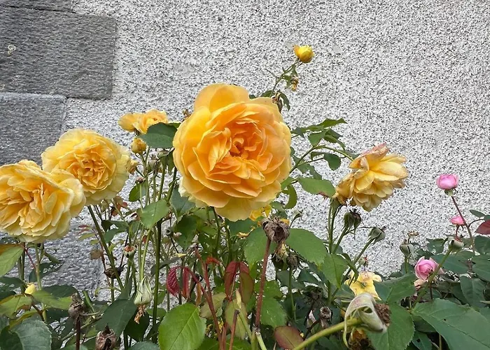 아파트 Stables With Wood-fired Sauna *